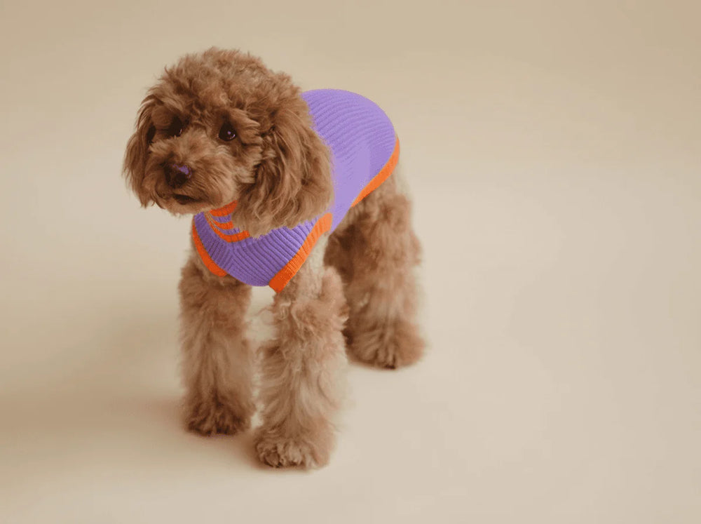 THE GLOW JUMPER 2.0 – Poppy Lavender