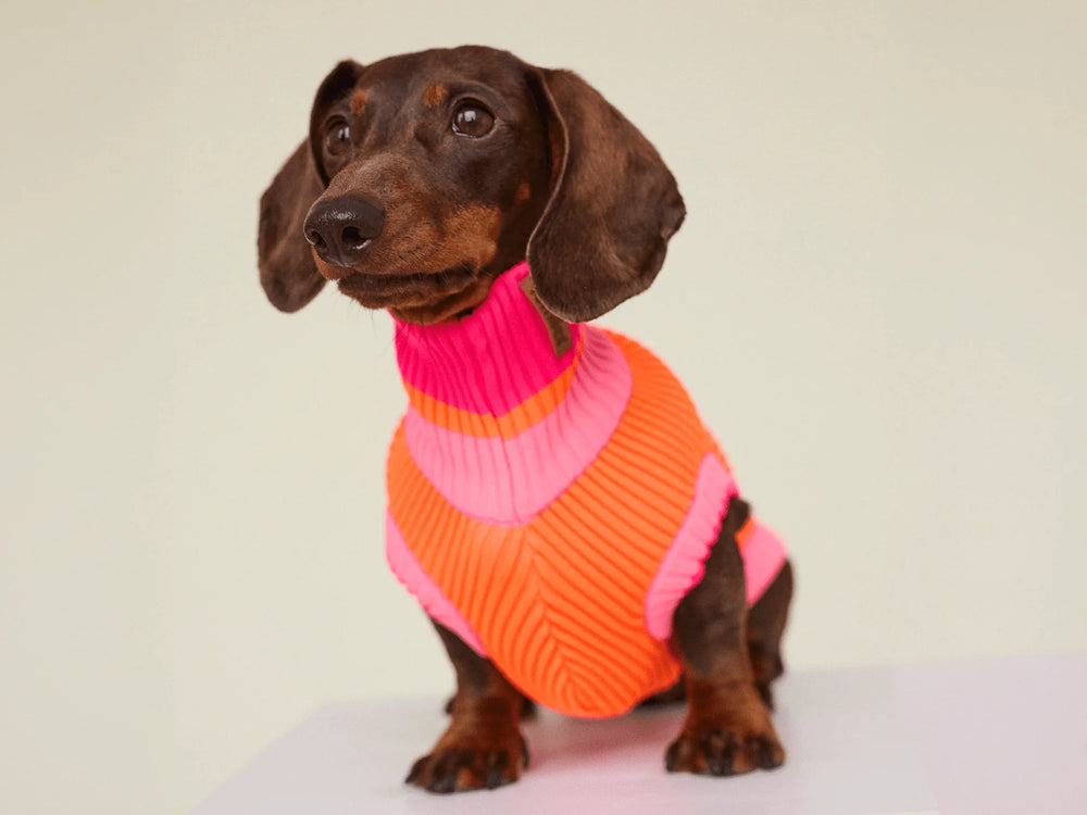 THE GLOW JUMPER 2.0 – Sunny Tangerine