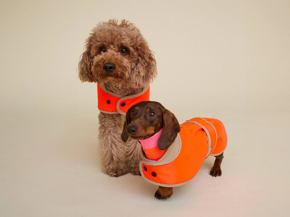 THE GLOW RAINCOAT Mini – Neon Orange