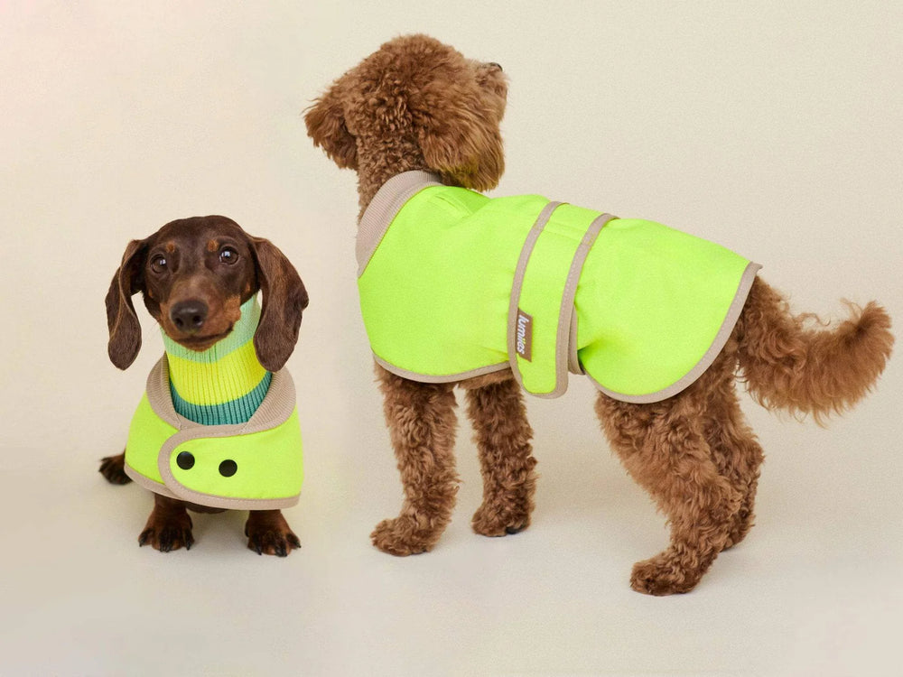 THE GLOW RAINCOAT Mini – Neon Yellow