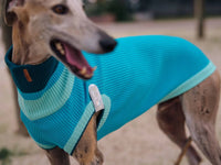 THE GLOW JUMPER 2.0 – Crystal Sky