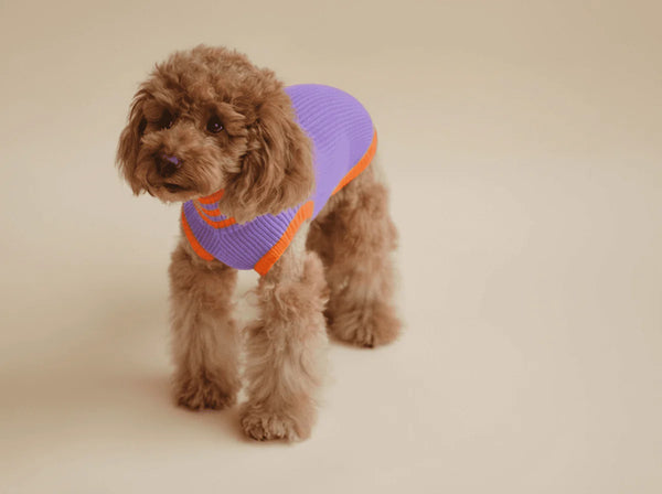 THE GLOW JUMPER 2.0 – Poppy Lavender