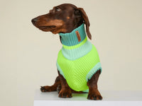 THE GLOW JUMPER 2.0 – Neon Matcha