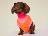 THE GLOW JUMPER 2.0 – Sunny Tangerine