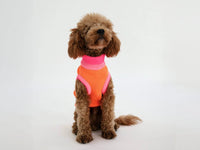 THE GLOW JUMPER 2.0 – Sunny Tangerine