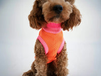 THE GLOW JUMPER 2.0 – Sunny Tangerine
