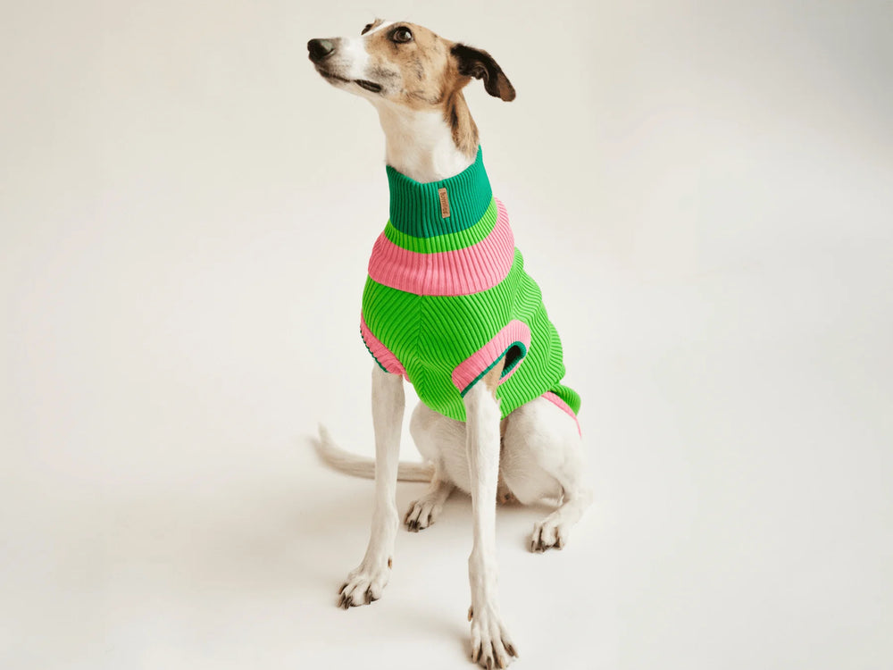 THE GLOW JUMPER 2.0 – Watermelon Crush