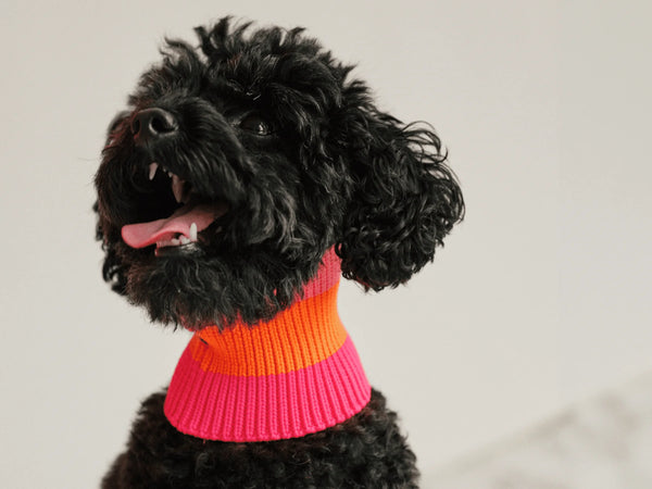THE GLOW LOOP 2.0 – Sunny Tangerine