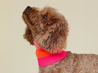 THE GLOW LOOP 2.0 – Sunny Tangerine