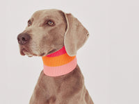 THE GLOW LOOP 2.0 – Sunny Tangerine