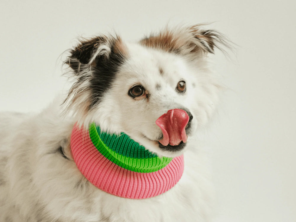 THE GLOW LOOP 2.0 – Watermelon Crush