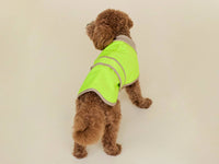 THE GLOW RAINCOAT Mini – Neon Yellow