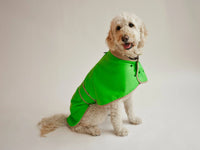 THE GLOW RAINCOAT Regular – Neon Green