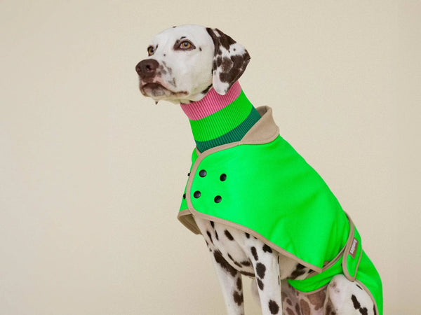 THE GLOW RAINCOAT Regular – Neon Green