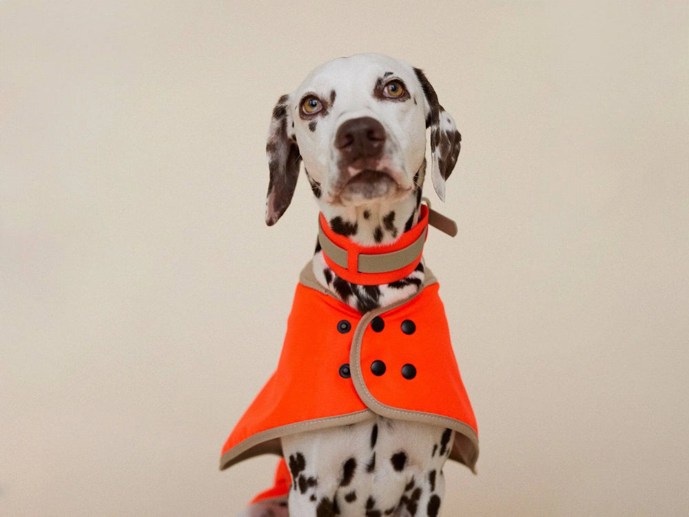 THE GLOW RAINCOAT Regular – Neon Orange