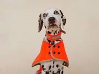 THE GLOW RAINCOAT Regular – Neon Orange