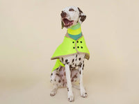 THE GLOW RAINCOAT Regular – Neon Yellow