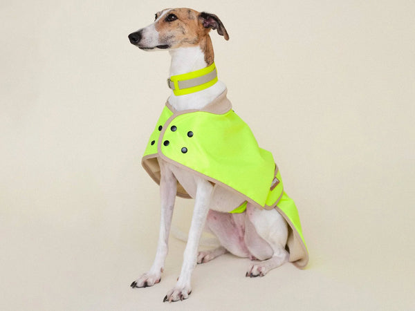 THE GLOW RAINCOAT Regular – Neon Yellow