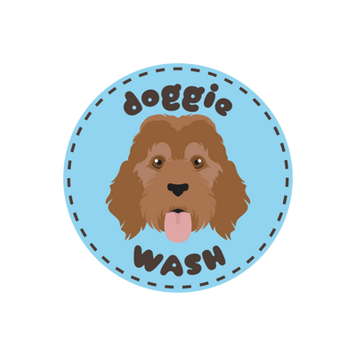 WASH